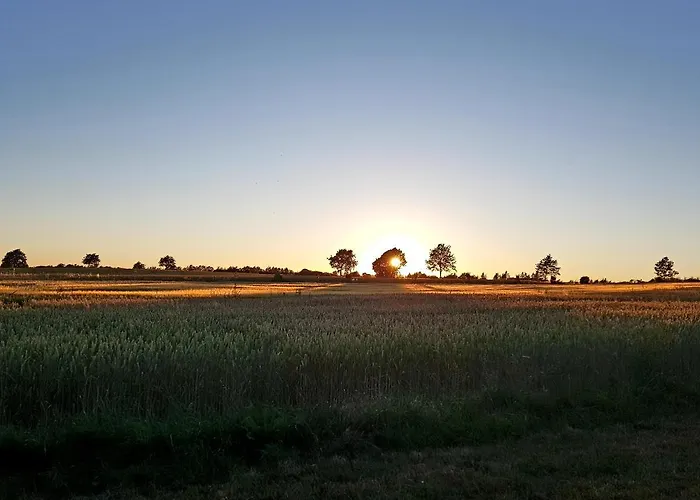 Agermosegaard Apartman Assens