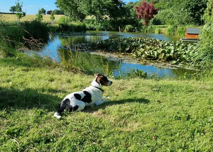 Agermosegaard Apartman